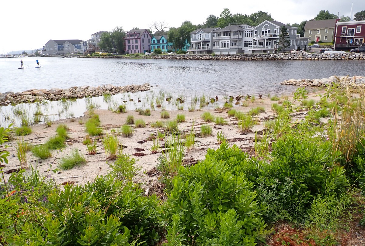 Mahone Bay Living Shoreline